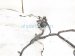 2001 Lexus Ls430 Engine Room Wire Harness 4.3l Rwd 82111 50700 Replacement 2001 Lexus Ls430 Engine Room Wire Harness 4.3l Rwd 82111 50700 Replacement thumbnail