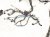 2001 Lexus Ls430 Engine Room Wire Harness 4.3l Rwd 82111 50700 Replacement 2001 Lexus Ls430 Engine Room Wire Harness 4.3l Rwd 82111 50700 Replacement thumbnail