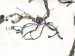 2001 Lexus Ls430 Engine Room Wire Harness 4.3l Rwd 82111 50700 Replacement 2001 Lexus Ls430 Engine Room Wire Harness 4.3l Rwd 82111 50700 Replacement thumbnail