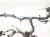 2001 Lexus Ls430 Engine Room Wire Harness 4.3l Rwd 82111 50700 Replacement 2001 Lexus Ls430 Engine Room Wire Harness 4.3l Rwd 82111 50700 Replacement thumbnail