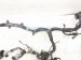 2001 Lexus Ls430 Engine Room Wire Harness 4.3l Rwd 82111 50700 Replacement 2001 Lexus Ls430 Engine Room Wire Harness 4.3l Rwd 82111 50700 Replacement thumbnail