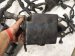 2001 Lexus Ls430 Engine Room Wire Harness 4.3l Rwd 82111 50700 Replacement 2001 Lexus Ls430 Engine Room Wire Harness 4.3l Rwd 82111 50700 Replacement thumbnail