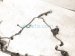 2019 Toyota Highlander Main Engine Wire Harness 3.5l Awd 82121 0E310 Replacement 2019 Toyota Highlander Main Engine Wire Harness 3.5l Awd 82121 0E310 Replacement thumbnail