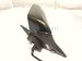 2017 Honda HR V Rear Driver Side View Mirror Green 76251 T0A A11YF Replacement 2017 Honda HR V Rear Driver Side View Mirror Green 76251 T0A A11YF Replacement thumbnail