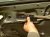 2017 Honda HR V Front Passenger Door Green No Mirror/trim* 67010 T7W A90ZZ Replacement 2017 Honda HR V Front Passenger Door Green No Mirror/trim* 67010 T7W A90ZZ Replacement thumbnail