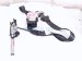 2025 Honda CR V Front Passenger Retractor W/pretensioner Blk 04814 3A0 A00ZB Replacement 2025 Honda CR V Front Passenger Retractor W/pretensioner Blk 04814 3A0 A00ZB Replacement thumbnail