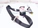2025 Honda CR V Front Passenger Retractor W/pretensioner Blk 04814 3A0 A00ZB Replacement 2025 Honda CR V Front Passenger Retractor W/pretensioner Blk 04814 3A0 A00ZB Replacement thumbnail