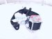 2017 Honda HR V Rear Seat 2nd Row Driver Belt Retractor Black 04828 T7W A01ZA Replacement 2017 Honda HR V Rear Seat 2nd Row Driver Belt Retractor Black 04828 T7W A01ZA Replacement thumbnail