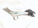 2021 Honda Accord Front Driver Lower Control Arm 51360 TVA A04 Replacement 2021 Honda Accord Front Driver Lower Control Arm 51360 TVA A04 Replacement thumbnail