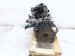 Sold 2021 Honda Accord Long Block Engine / Motor = 48k Mi 10002 6A0 A02 Replacement Sold 2021 Honda Accord Long Block Engine / Motor = 48k Mi 10002 6A0 A02 Replacement thumbnail