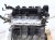 Sold 2021 Honda Accord Long Block Engine / Motor = 48k Mi 10002 6A0 A02 Replacement Sold 2021 Honda Accord Long Block Engine / Motor = 48k Mi 10002 6A0 A02 Replacement thumbnail