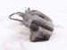 2023 Honda Ridgeline Front Driver Brake Caliper 45019 TYS A51 Replacement 2023 Honda Ridgeline Front Driver Brake Caliper 45019 TYS A51 Replacement thumbnail