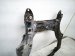 2023 Honda Ridgeline Crossmember Front Engine Sub Frame / Cradle 50200 T6Z A03 Replacement 2023 Honda Ridgeline Crossmember Front Engine Sub Frame / Cradle 50200 T6Z A03 Replacement thumbnail