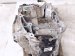 2023 Honda Ridgeline Automatic Transmission = 86k Mi 06201 5MK A02 Replacement 2023 Honda Ridgeline Automatic Transmission = 86k Mi 06201 5MK A02 Replacement thumbnail