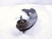 2022 Honda Civic Lower Rear Driver Trailing Control Arm 52365 T20 A10 Replacement 2022 Honda Civic Lower Rear Driver Trailing Control Arm 52365 T20 A10 Replacement thumbnail