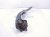 2022 Honda Civic Lower Rear Driver Trailing Control Arm 52365 T20 A10 Replacement 2022 Honda Civic Lower Rear Driver Trailing Control Arm 52365 T20 A10 Replacement thumbnail