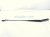 2022 Volkswagen Taos Passenger Windshield Wiper Arm 2GJ 955 410 03C Replacement 2022 Volkswagen Taos Passenger Windshield Wiper Arm 2GJ 955 410 03C Replacement thumbnail