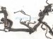 2019 Nissan Pathfinder Main Engine Wire Harness 3.5l Fwd 24011 9PR1B Replacement 2019 Nissan Pathfinder Main Engine Wire Harness 3.5l Fwd 24011 9PR1B Replacement thumbnail