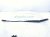 2024 Audi Q5 Audi Passenger Windshield Wiper Arm 80B 955 408 1P9 Replacement 2024 Audi Q5 Audi Passenger Windshield Wiper Arm 80B 955 408 1P9 Replacement thumbnail