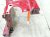 2025 Honda Civic Passenger Apron Shock Tower Cut Red 60650 T56 305ZZ Replacement 2025 Honda Civic Passenger Apron Shock Tower Cut Red 60650 T56 305ZZ Replacement thumbnail