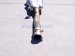 2024 Audi Q5 Audi Rear Exhaust Muffler W/res 2.0l Awd 80A 253 609 G Replacement 2024 Audi Q5 Audi Rear Exhaust Muffler W/res 2.0l Awd 80A 253 609 G Replacement thumbnail