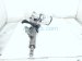 2025 Hyundai Sonata Shaft Steering Column W/ Eps 2.5l At Fwd 56310 L1FD0 Replacement 2025 Hyundai Sonata Shaft Steering Column W/ Eps 2.5l At Fwd 56310 L1FD0 Replacement thumbnail