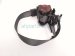 2025 Hyundai Sonata Front Passenger Seat Belt Retractor Black 88820 L5010 YTH Replacement 2025 Hyundai Sonata Front Passenger Seat Belt Retractor Black 88820 L5010 YTH Replacement thumbnail