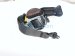 2025 Hyundai Sonata Rear Driver Seat Belt Retractor Black 89870 L1110 YTH Replacement 2025 Hyundai Sonata Rear Driver Seat Belt Retractor Black 89870 L1110 YTH Replacement thumbnail