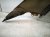 2025 Hyundai Sonata Front Passenger Fender Grey 66320 L1500 Replacement 2025 Hyundai Sonata Front Passenger Fender Grey 66320 L1500 Replacement thumbnail
