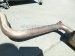 2022 Volkswagen Taos Rear Exhaust Muffler W/res 1.5l Fwd 5QM 253 411 D Replacement 2022 Volkswagen Taos Rear Exhaust Muffler W/res 1.5l Fwd 5QM 253 411 D Replacement thumbnail