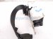 2026 Honda Civic Front Passenger Seat Belt Black 04814 T65 A01ZA Replacement 2026 Honda Civic Front Passenger Seat Belt Black 04814 T65 A01ZA Replacement thumbnail