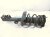 2024 Toyota Corolla Front Passenger Strut Absorber + Spring 48510 12N90 Replacement 2024 Toyota Corolla Front Passenger Strut Absorber + Spring 48510 12N90 Replacement thumbnail