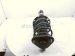 2024 Toyota Corolla Front Passenger Strut Absorber + Spring 48510 12N90 Replacement 2024 Toyota Corolla Front Passenger Strut Absorber + Spring 48510 12N90 Replacement thumbnail