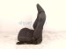 2024 Toyota Corolla Front Passenger Seat Black W/ Airbag 71073 1AQ90 C0 Replacement 2024 Toyota Corolla Front Passenger Seat Black W/ Airbag 71073 1AQ90 C0 Replacement thumbnail