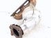 2023 Nissan Pathfinder Driver Exhaust Manifold W/conv 3.5l Fwd 140F2 6SN0A Replacement 2023 Nissan Pathfinder Driver Exhaust Manifold W/conv 3.5l Fwd 140F2 6SN0A Replacement thumbnail