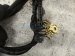 2025 Honda Accord Dash Instrument Wire Harness Hyb 32117 30B AD0 Replacement 2025 Honda Accord Dash Instrument Wire Harness Hyb 32117 30B AD0 Replacement thumbnail