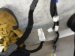 2025 Honda Accord Dash Instrument Wire Harness Hyb 32117 30B AD0 Replacement 2025 Honda Accord Dash Instrument Wire Harness Hyb 32117 30B AD0 Replacement thumbnail