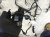 2025 Honda Accord Dash Instrument Wire Harness Hyb 32117 30B AD0 Replacement 2025 Honda Accord Dash Instrument Wire Harness Hyb 32117 30B AD0 Replacement thumbnail