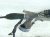 2023 Volkswagen Golf And / Gear Box Power Steering Rack & Pinion 5WB 423 056 D Replacement 2023 Volkswagen Golf And / Gear Box Power Steering Rack & Pinion 5WB 423 056 D Replacement thumbnail