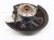2023 Volkswagen Golf Axle Stub Rear Passenger Spindle Knuckle Hub Awd 5WA 505 436 G Replacement 2023 Volkswagen Golf Axle Stub Rear Passenger Spindle Knuckle Hub Awd 5WA 505 436 G Replacement thumbnail