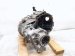 2023 Volkswagen Golf Manual Transmission = 19k Mi 02Q 300 058 G Replacement 2023 Volkswagen Golf Manual Transmission = 19k Mi 02Q 300 058 G Replacement thumbnail