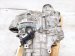 2023 Volkswagen Golf Manual Transmission = 19k Mi 02Q 300 058 G Replacement 2023 Volkswagen Golf Manual Transmission = 19k Mi 02Q 300 058 G Replacement thumbnail
