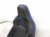 2023 Volkswagen Golf Front Driver Seat Black W/ Airbag 4K0 881 105 K Replacement 2023 Volkswagen Golf Front Driver Seat Black W/ Airbag 4K0 881 105 K Replacement thumbnail