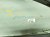 2023 Volkswagen Golf Front Passenger Door Blue No Mirror/trim 5H4 845 202 A Replacement 2023 Volkswagen Golf Front Passenger Door Blue No Mirror/trim 5H4 845 202 A Replacement thumbnail