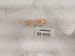 2017 Honda HR V Windshield Washer Reservoir Tank 76841 T7W A11 Replacement 2017 Honda HR V Windshield Washer Reservoir Tank 76841 T7W A11 Replacement thumbnail