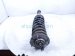 2024 Toyota Tacoma Front Passenger Strut Absorber + Spring 48510 8Z659 Replacement 2024 Toyota Tacoma Front Passenger Strut Absorber + Spring 48510 8Z659 Replacement thumbnail