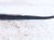 2017 Honda HR V Passenger Windshield Wiper Arm 76610 T7W A01 Replacement 2017 Honda HR V Passenger Windshield Wiper Arm 76610 T7W A01 Replacement thumbnail