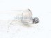 2023 Honda Ridgeline Passenger Fog / Turn Signal Lamp 33300 T6Z A21 Replacement 2023 Honda Ridgeline Passenger Fog / Turn Signal Lamp 33300 T6Z A21 Replacement thumbnail