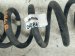 2022 Kia Telluride Strut / / Shock Absorber Rear Passenger Coil Spring Awd 3.8l 55330 S9050 Replacement 2022 Kia Telluride Strut / / Shock Absorber Rear Passenger Coil Spring Awd 3.8l 55330 S9050 Replacement thumbnail