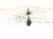 2022 Kia Telluride Passenger Hood Strut / Lift Cylinder 81161 S9000 Replacement 2022 Kia Telluride Passenger Hood Strut / Lift Cylinder 81161 S9000 Replacement thumbnail